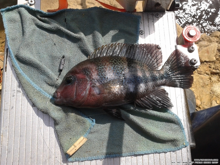 20151107_125626.jpg