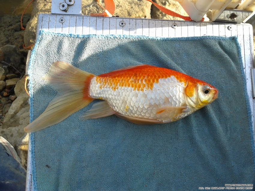 20151107_154914.jpg