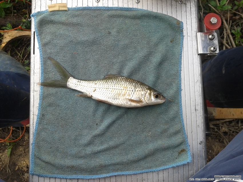 20151121_101338.jpg