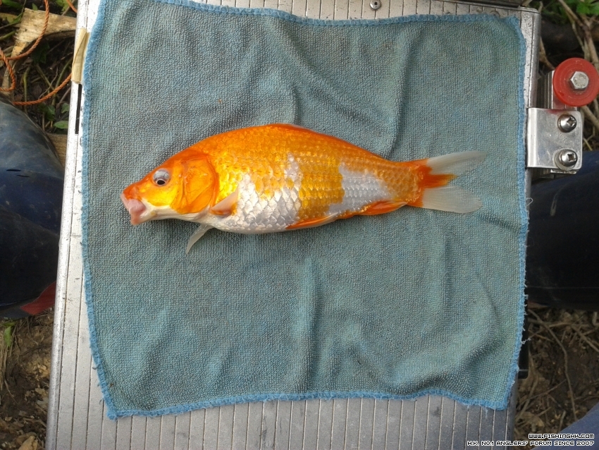 20151121_113628.jpg