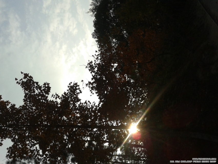 20151216_081603.jpg