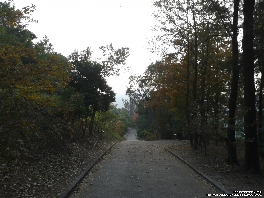 20151216_082814.jpg
