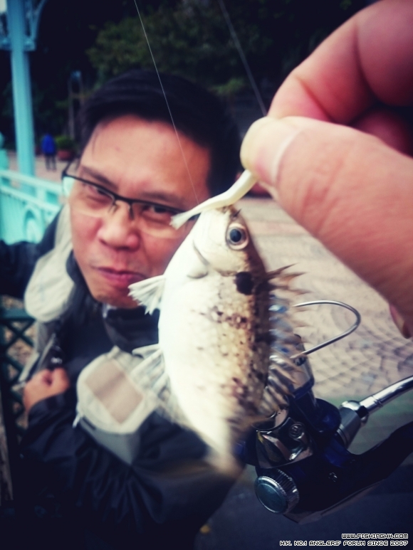 2015-12-06 17.11.52.jpg