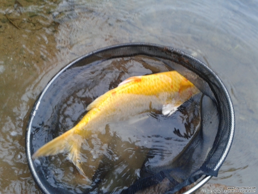 20151225_155725.jpg