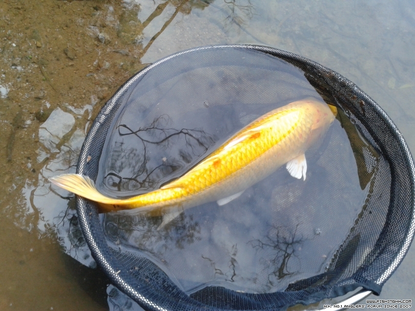 20151225_155735.jpg