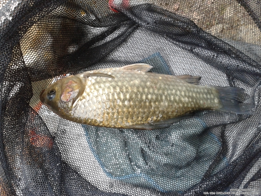 20151226_113820.jpg