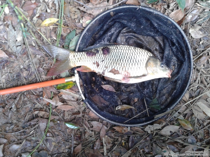 20151226_150152.jpg