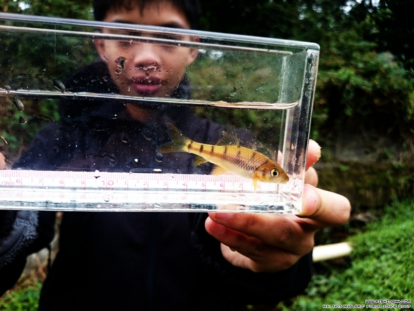 2015-12-27 14.20.46.jpg