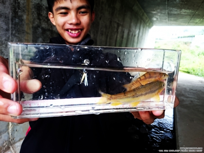 2015-12-27 15.05.43.jpg