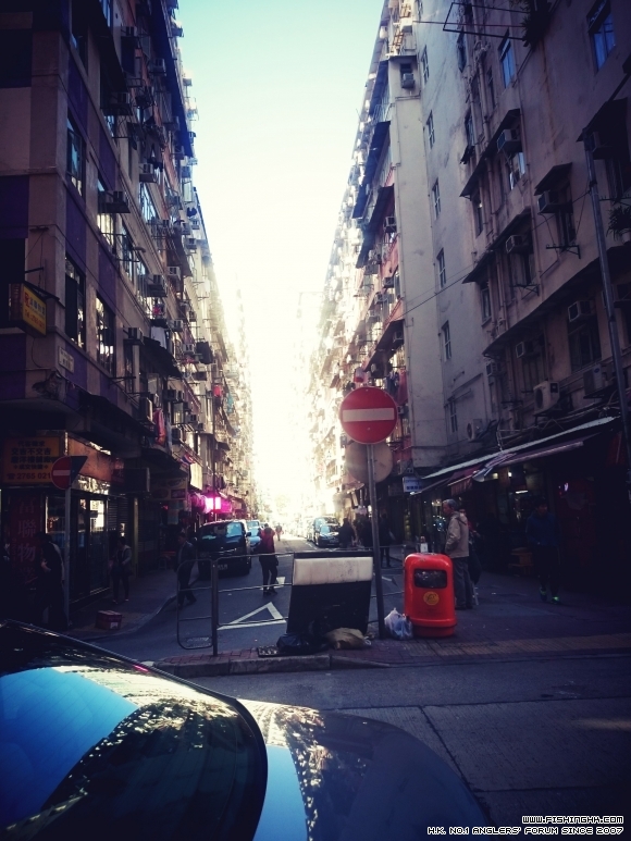 2016-02-07 15.16.35.jpg