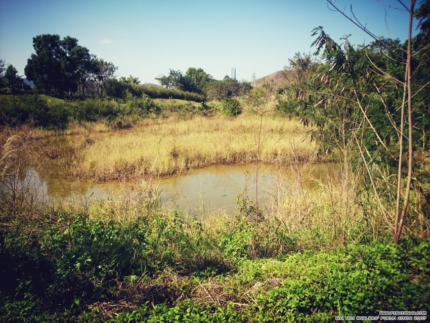 2016-02-09 13.44.58.jpg