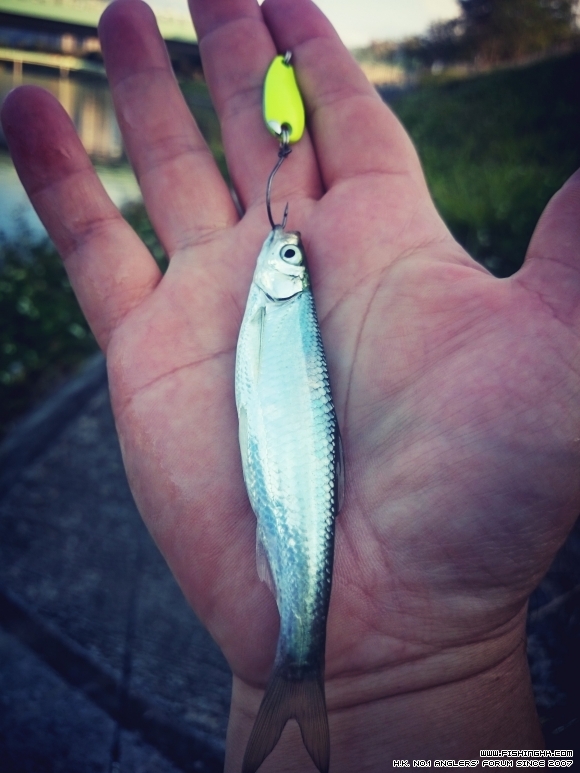 2016-02-09 16.50.27.jpg