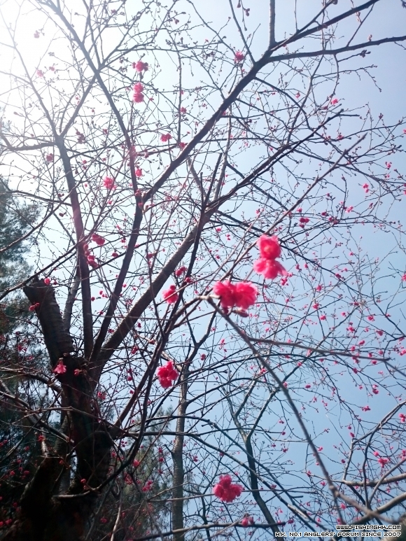 2016-02-28 11.02.17.jpg