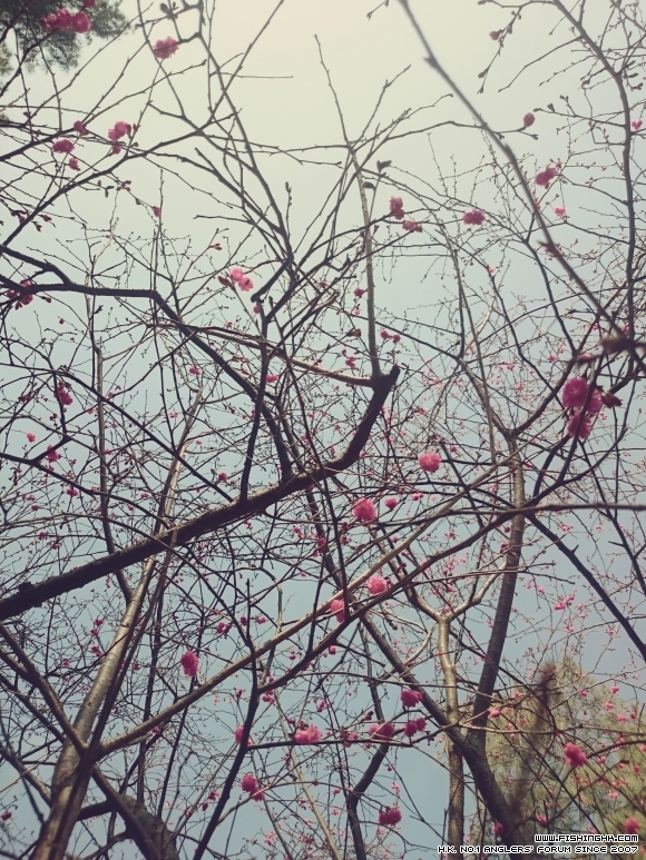 2016-02-28 11.02.51.jpg