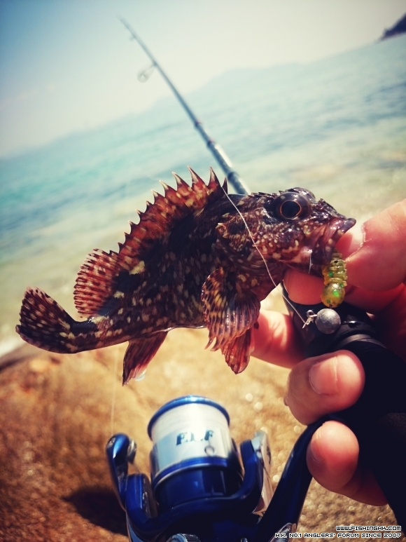 2016-02-28 12.11.30.jpg