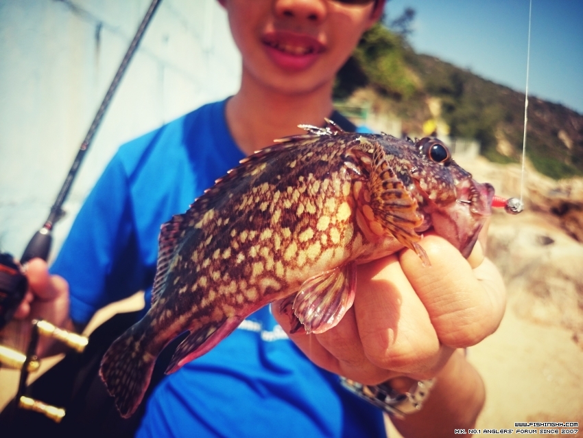 2016-02-28 12.14.40.jpg