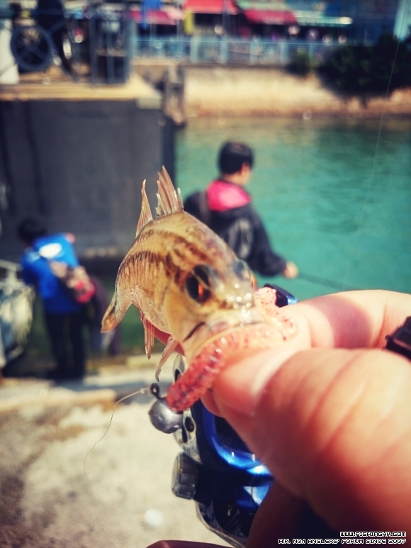 2016-02-28 13.38.05.jpg