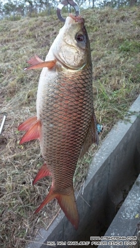 IMAG0647.jpg