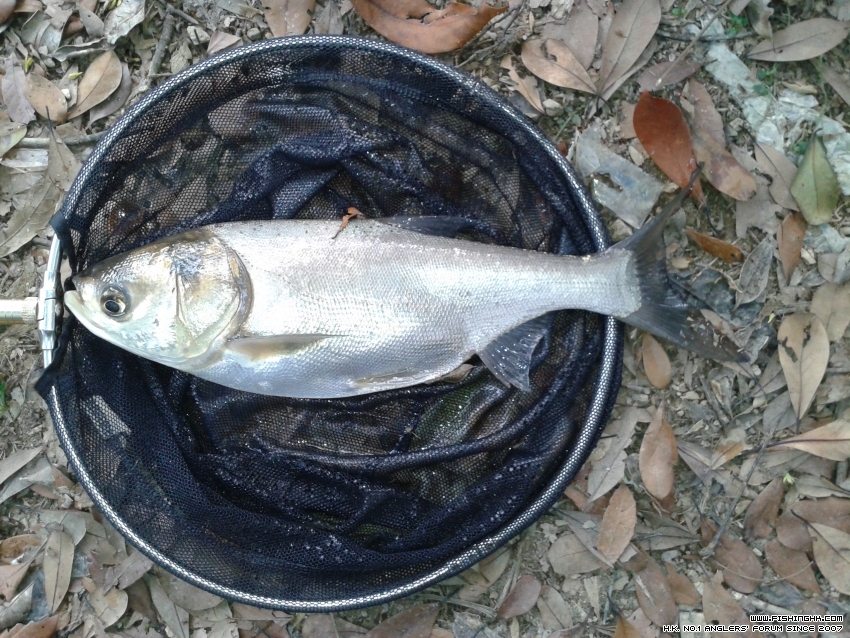 20160404_155833.jpg