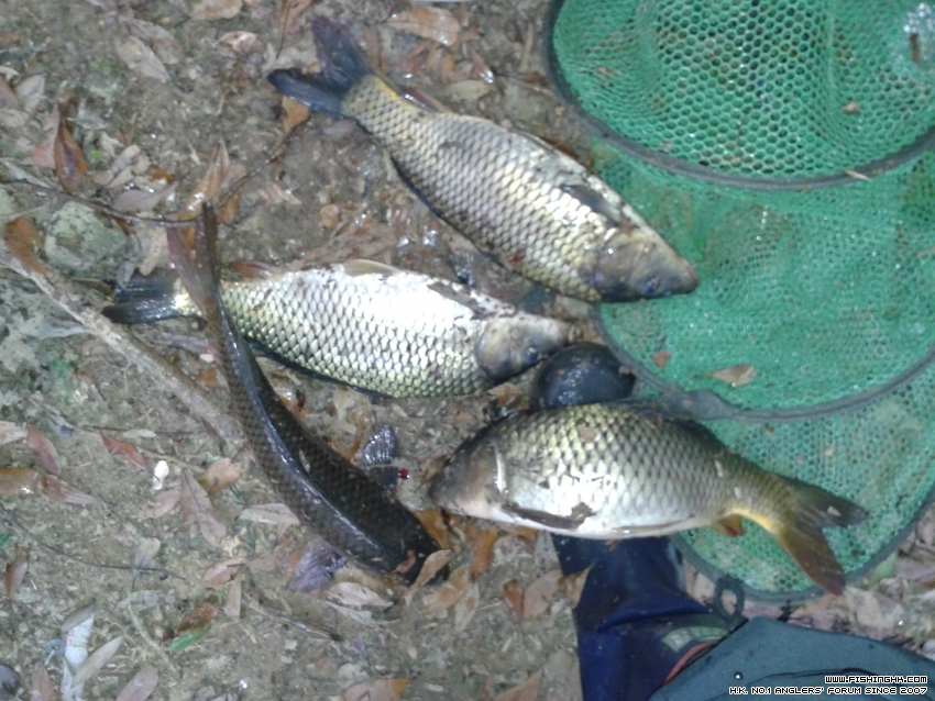 20160404_163806.jpg