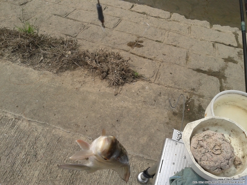 20160409_101500.jpg