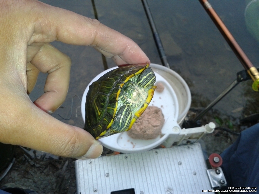 20160430_165422.jpg