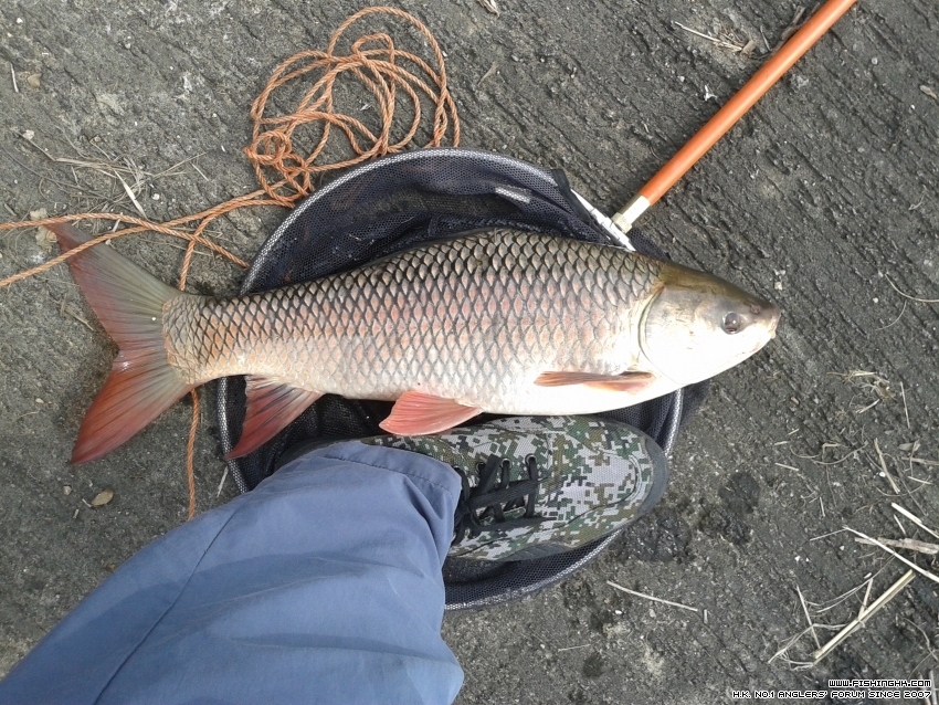 20160508_092748.jpg