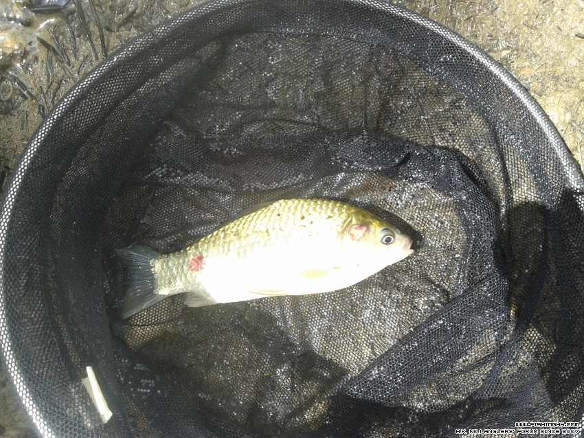 20160529_102002.jpg