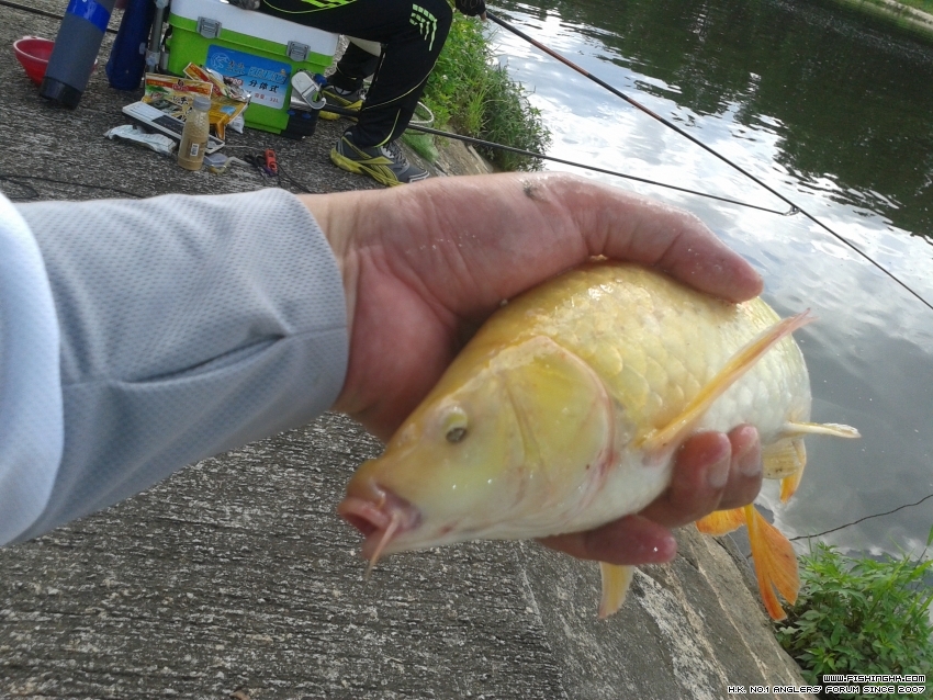 20160618_091518.jpg