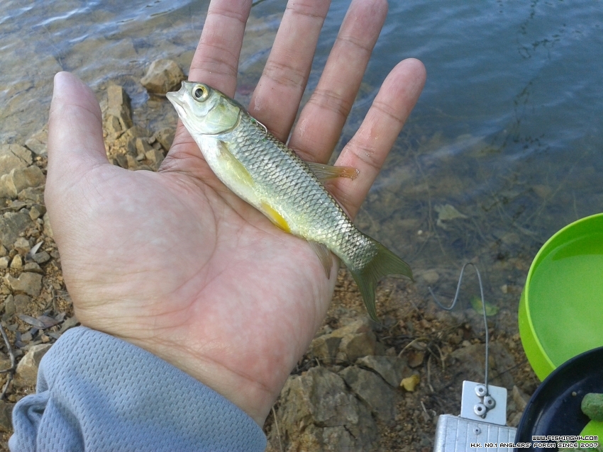 20160701_101238.jpg