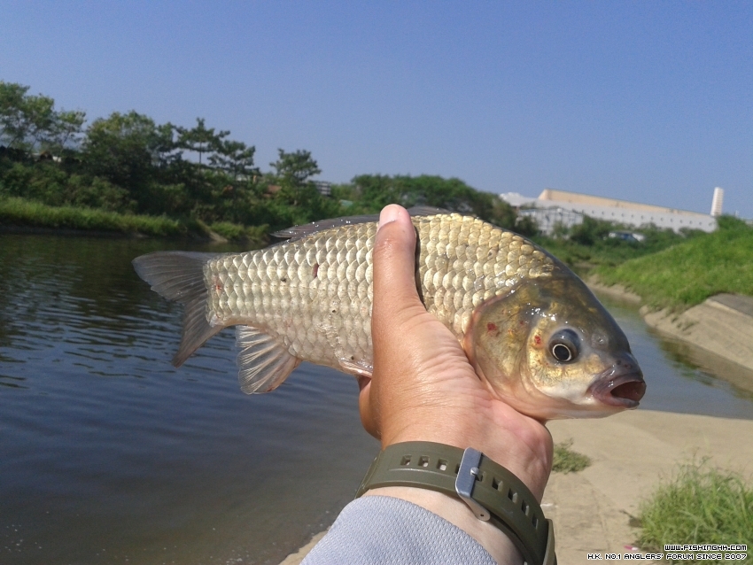 20160918_095353.jpg