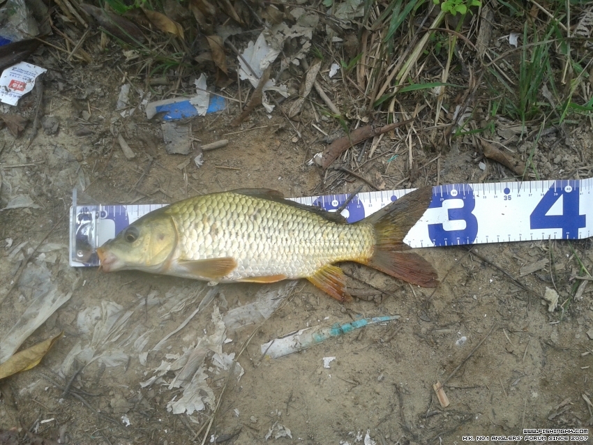 20160925_142226.jpg