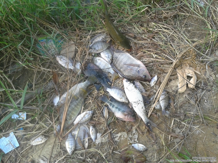 20160925_164607.jpg
