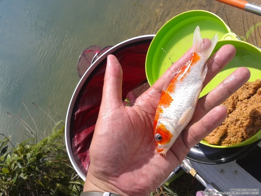 20161010_102419.jpg