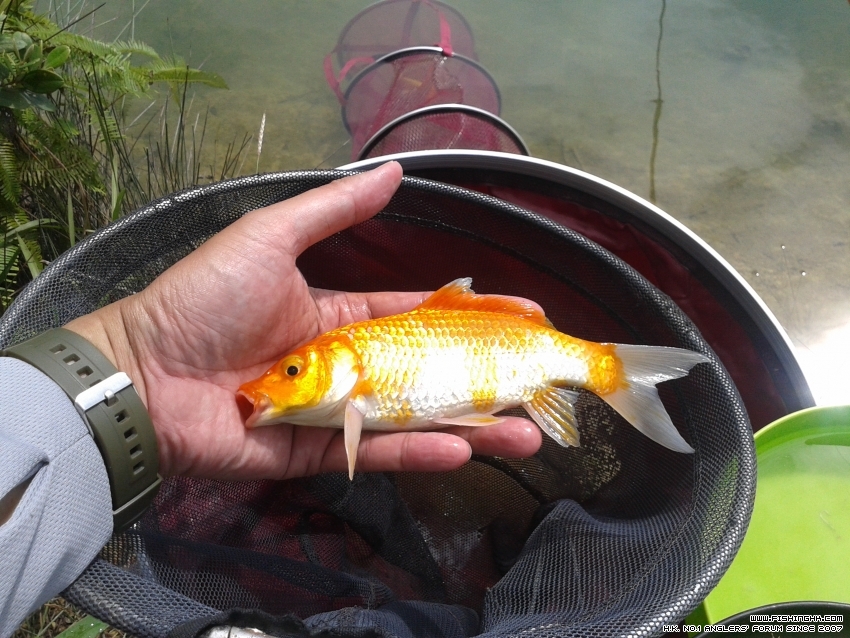 20161010_103623.jpg