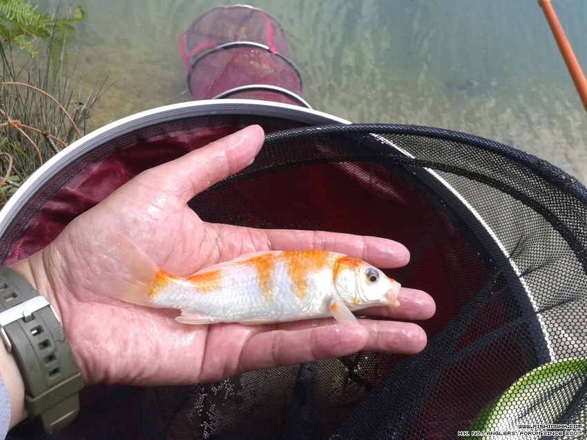 20161010_113014.jpg