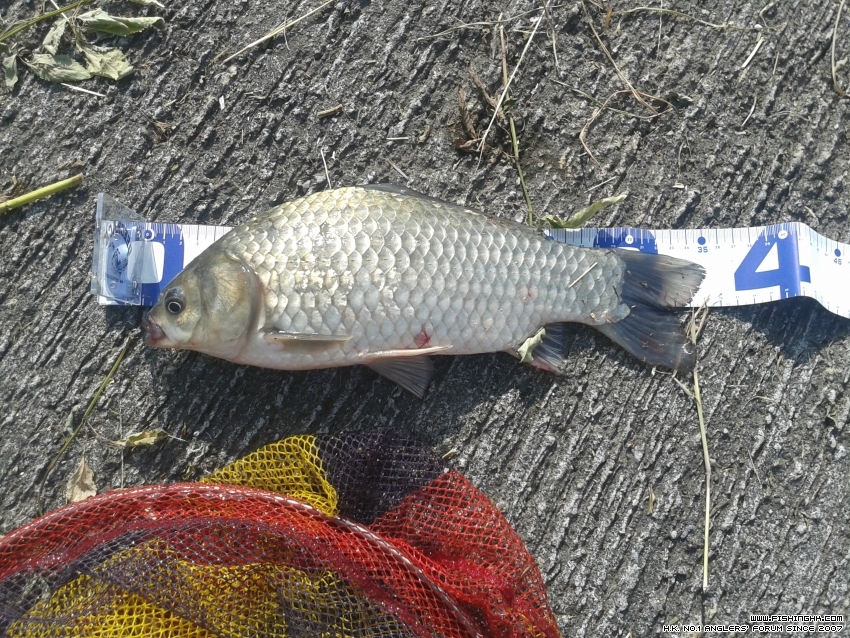 20161015_092946.jpg