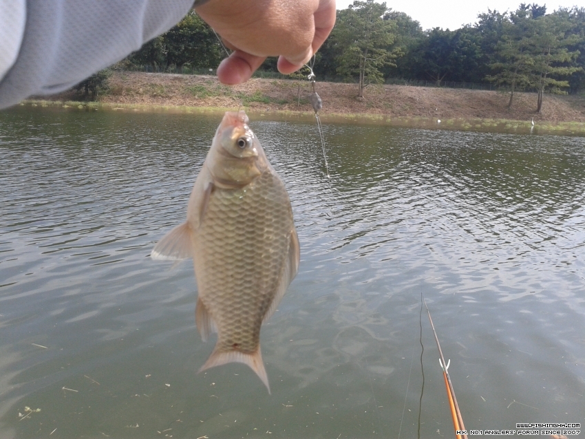 20161015_141053.jpg