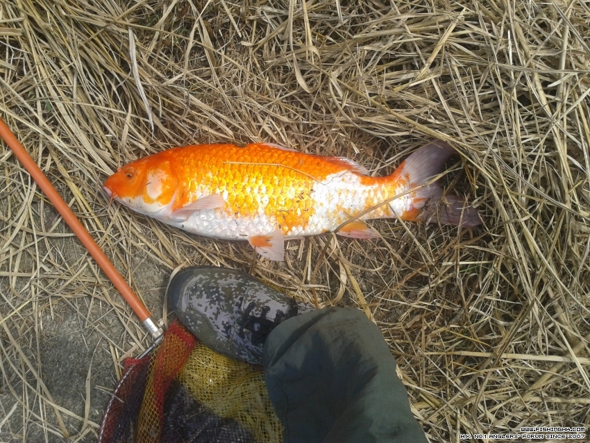 20161016_123037.jpg