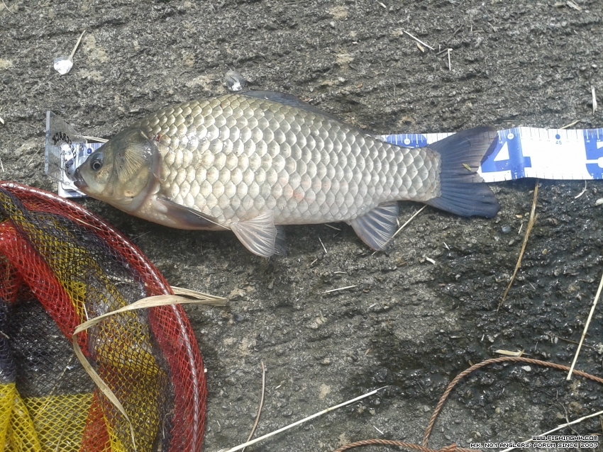 20161016_133416.jpg