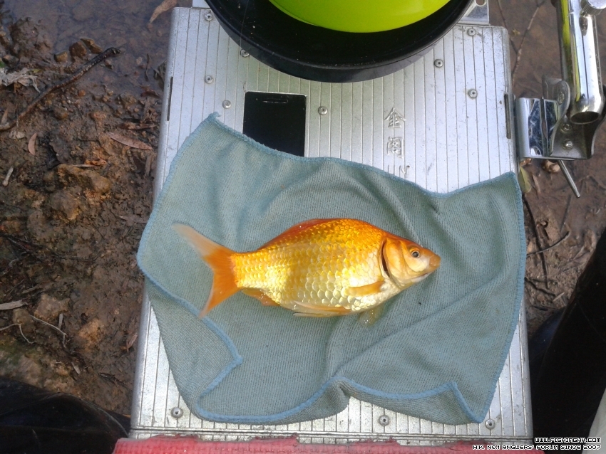 20161103_171255.jpg