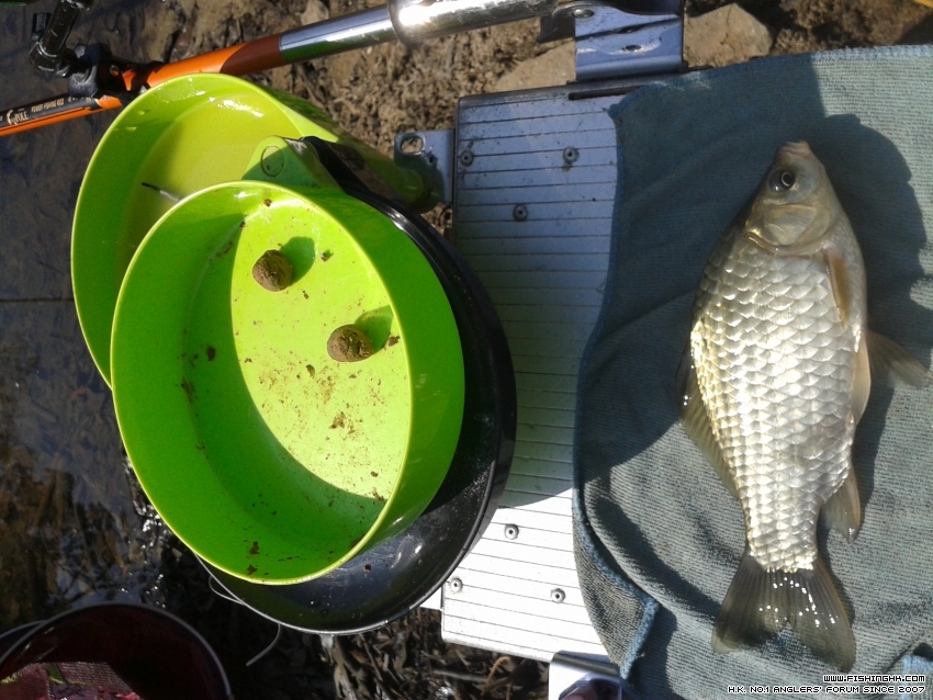 20161210_104328.jpg
