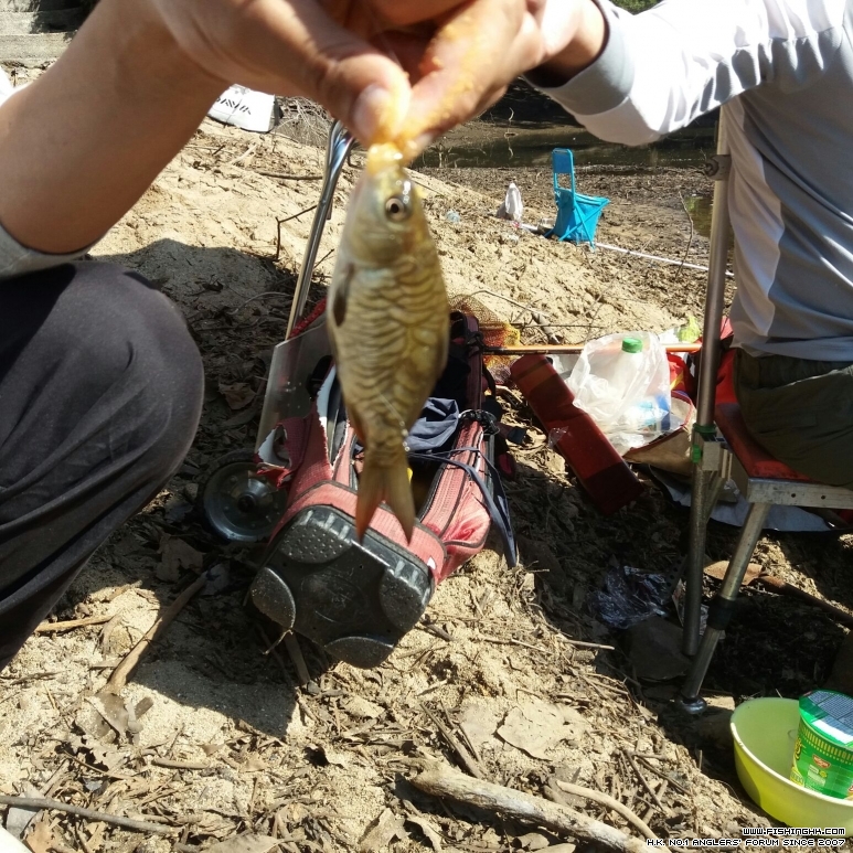 IMG-20161210-WA0027.jpg