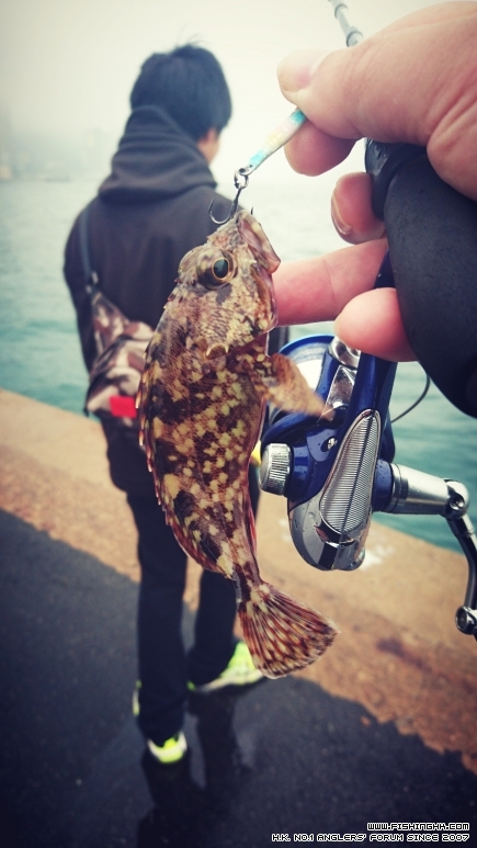 2016-03-13 15.58.00.jpg