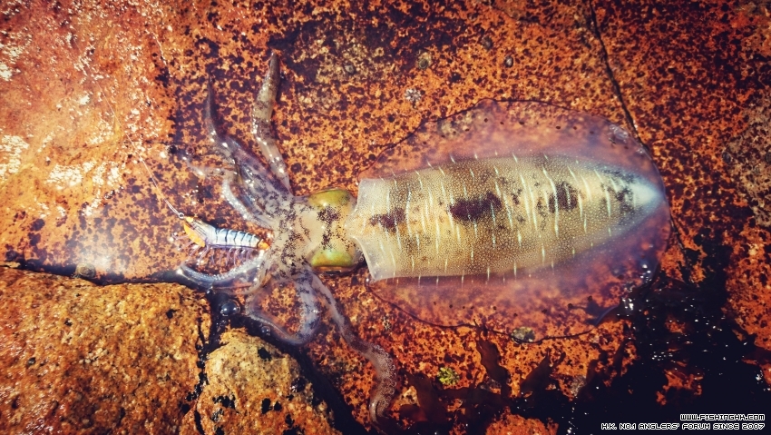 2016-03-26 14.13.45-1.jpg