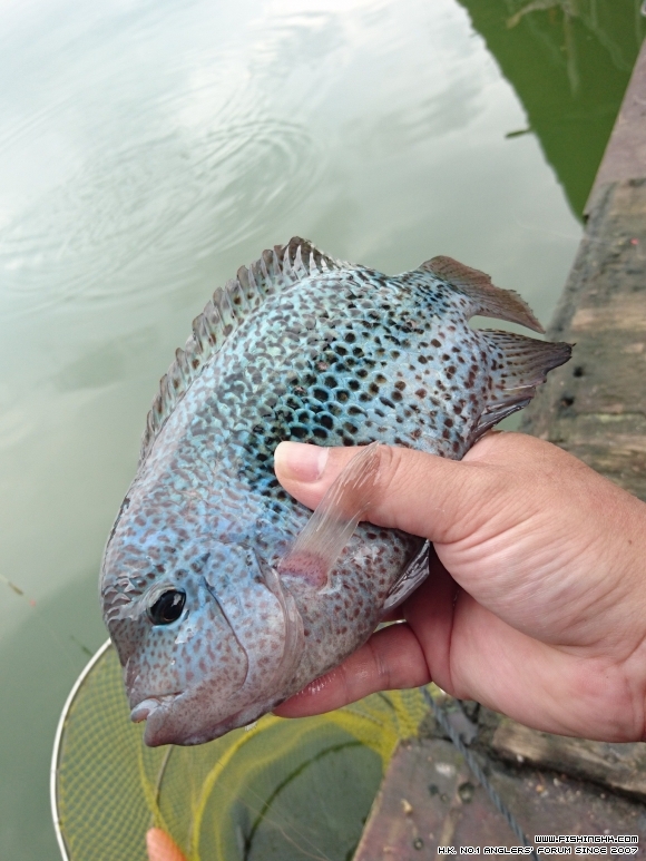 2016-04-23 14.53.37-1.jpg