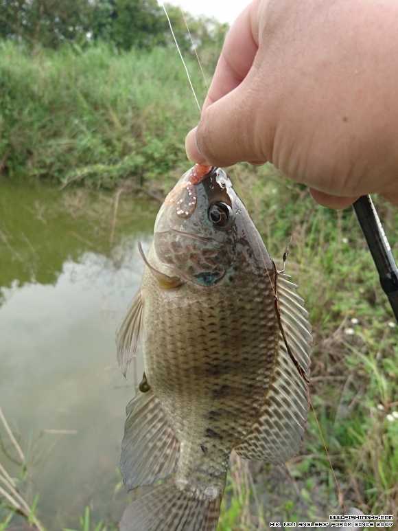 2016-04-23 16.01.59.jpg