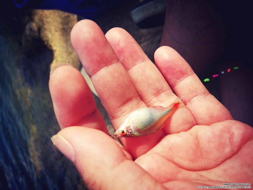 2016-07-17 16.33.50-1.jpg