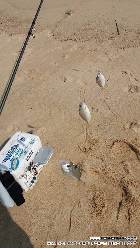 20170212_105030.jpg
