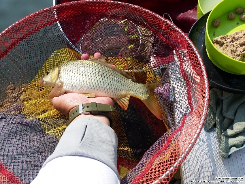 20170218_100540.jpg